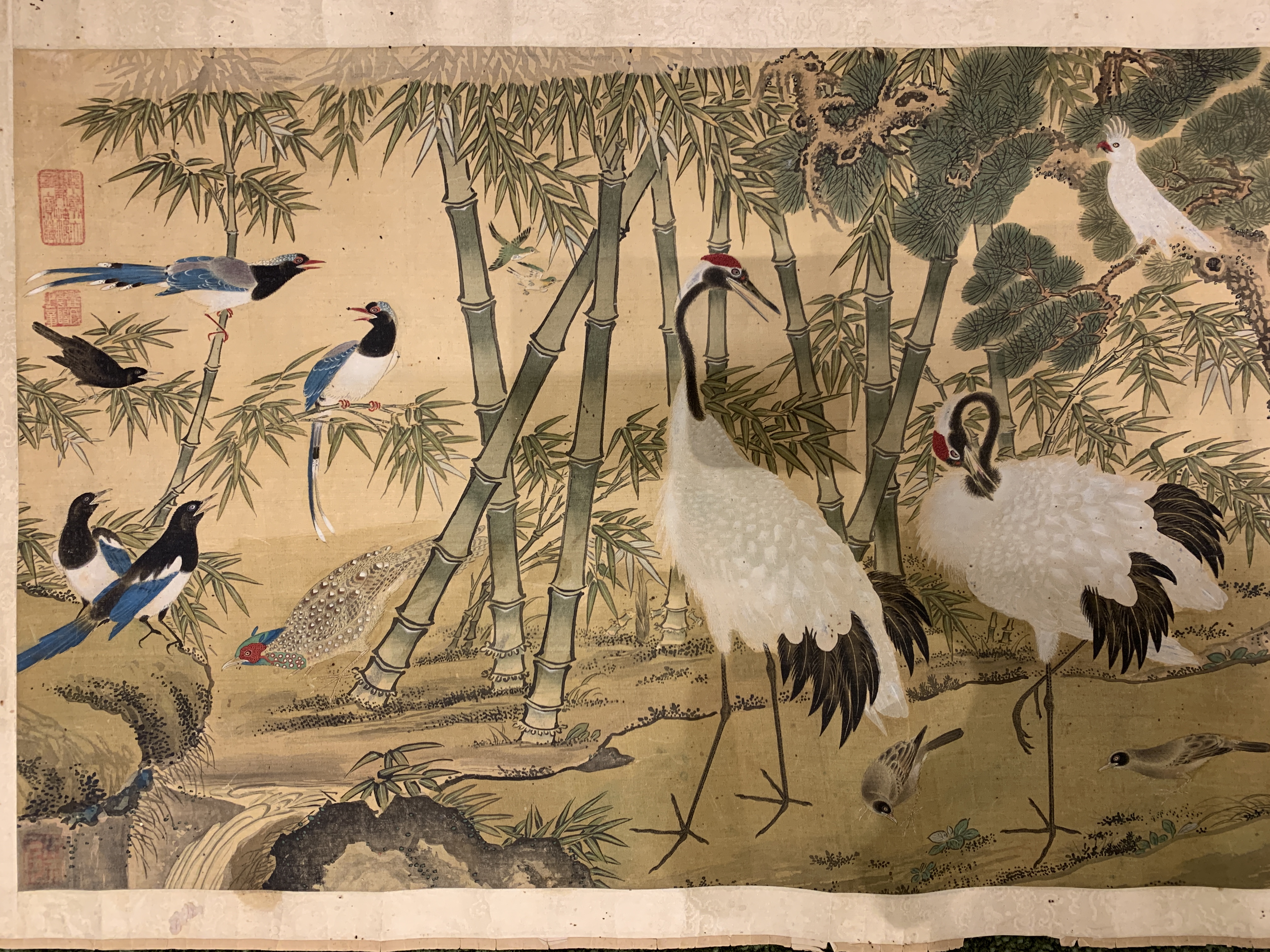 赵大年  百鸟图 长卷 水墨/设色绢本/纸本