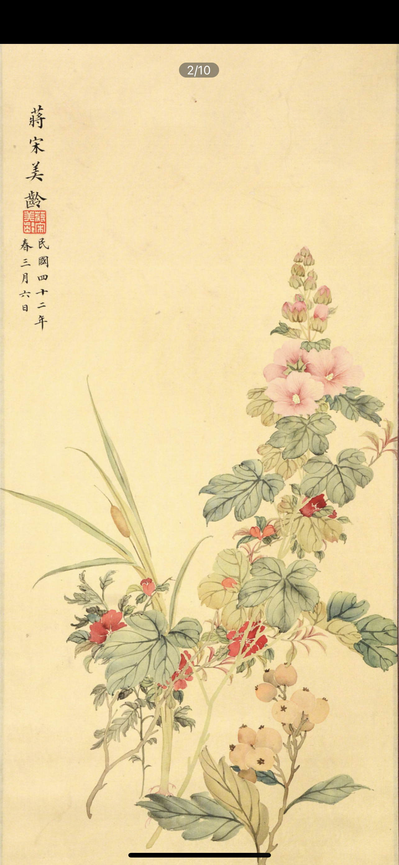 宋美龄女士花卉