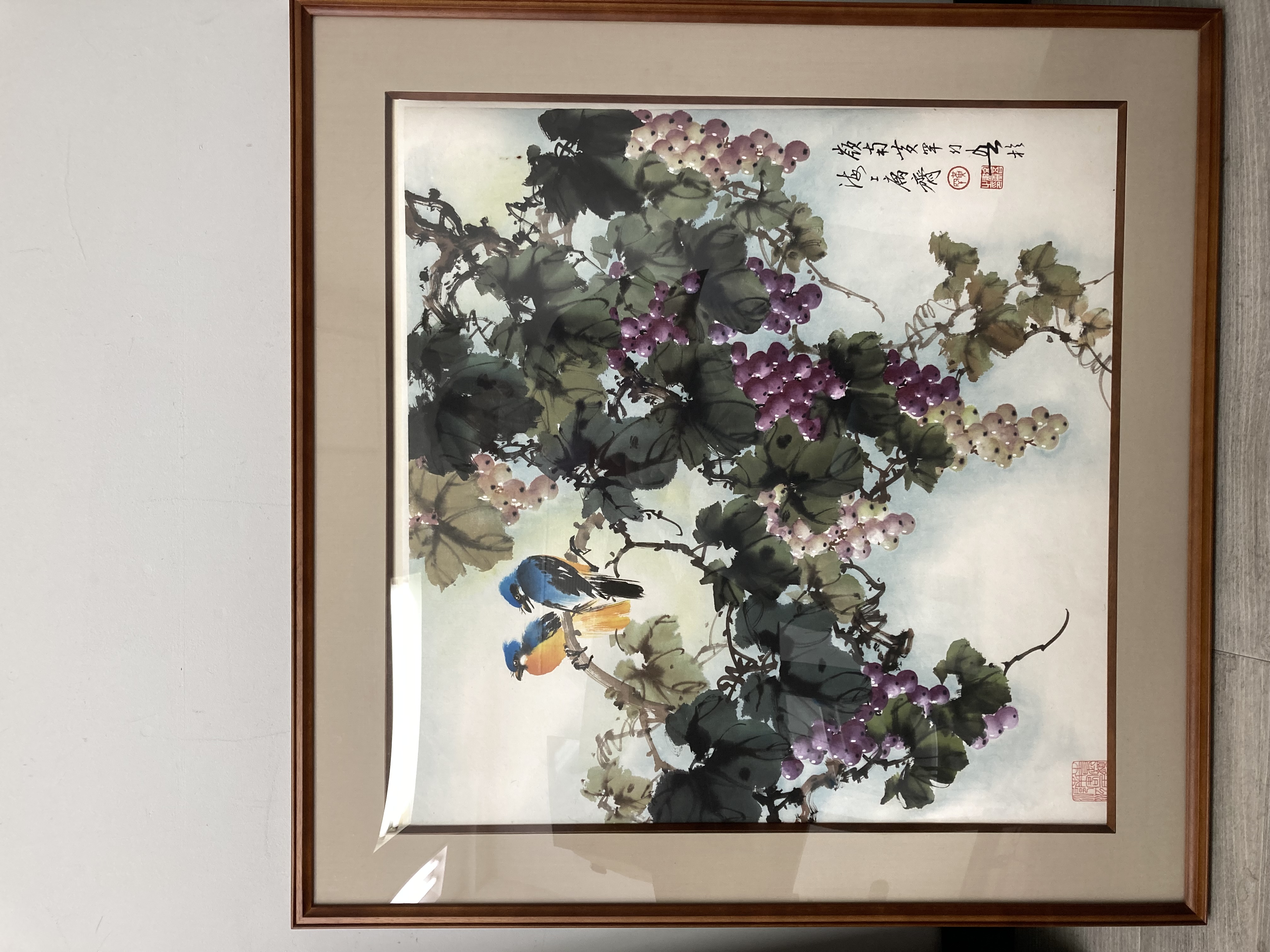 黄幻吾 葡萄小鸟