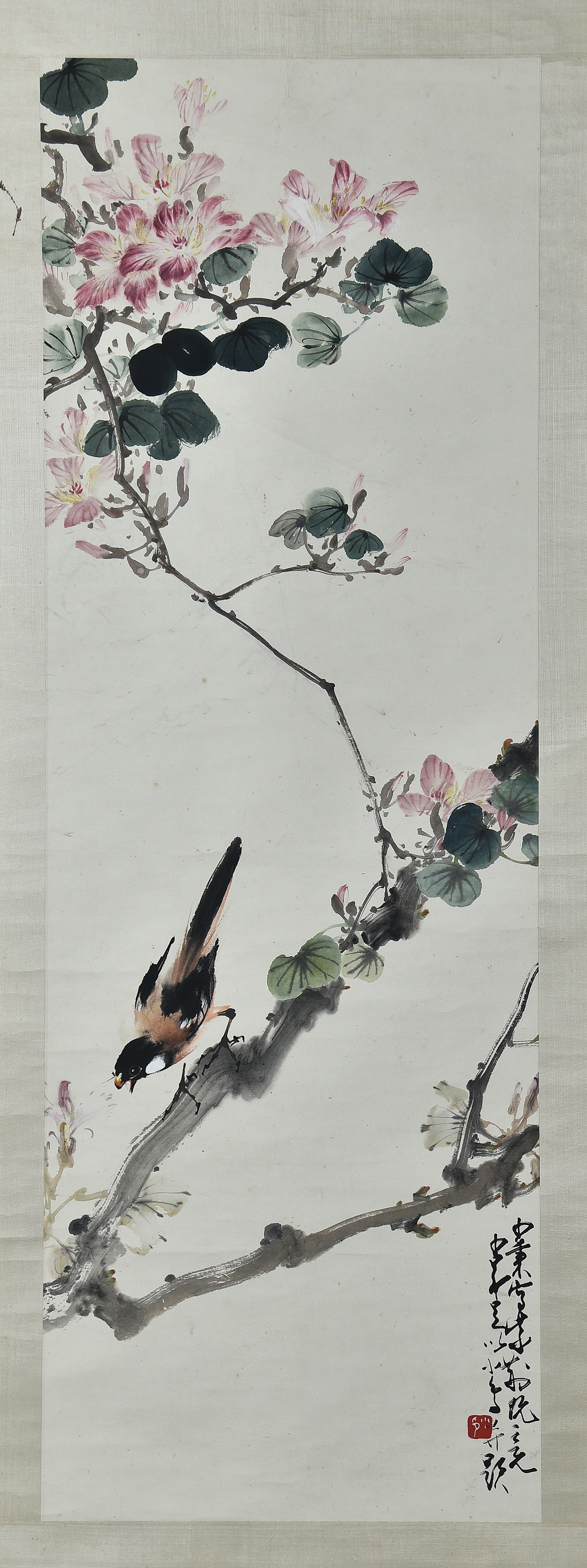 赵少昂【花鸟】